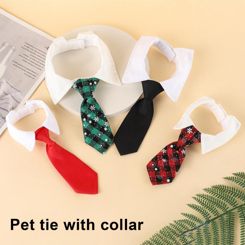 13-27 ซม.อย่างเป็นทางการสุนัข  - Suit Supply Wedding Party บทวิจารณ์และราคา