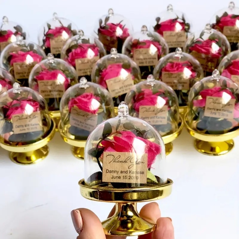 24 ชิ้นกล่องขนมพลาสติกขนาดเล็ก - Wedding/Event Supply Store บทวิจารณ์และราคา